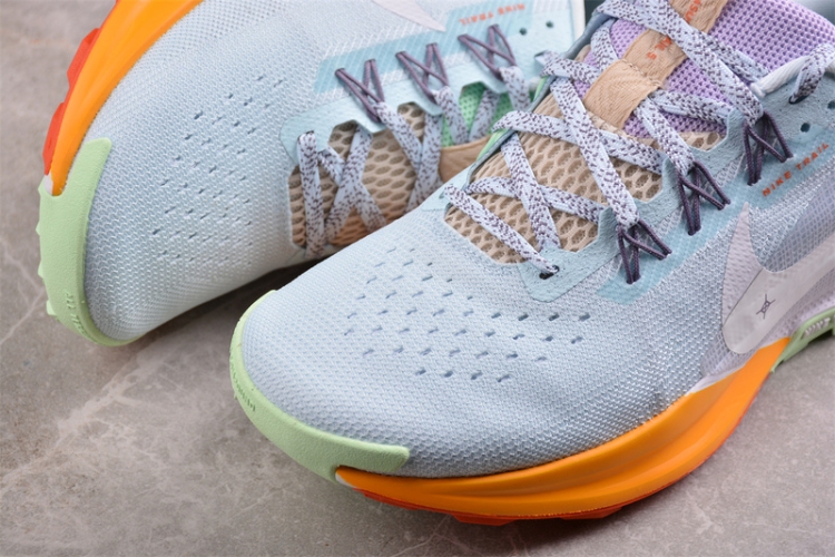  Nike Pegasus Trail 5 DV3865-402