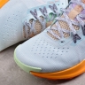  Nike Pegasus Trail 5 DV3865-402