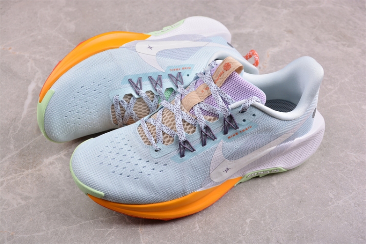  Nike Pegasus Trail 5 DV3865-402