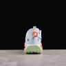  Nike Pegasus Trail 5 DV3865-402