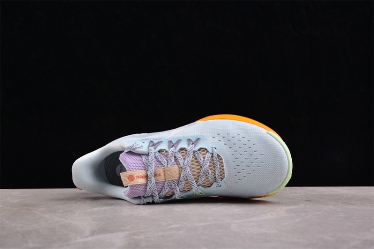 Nike Pegasus Trail 5 DV3865-402