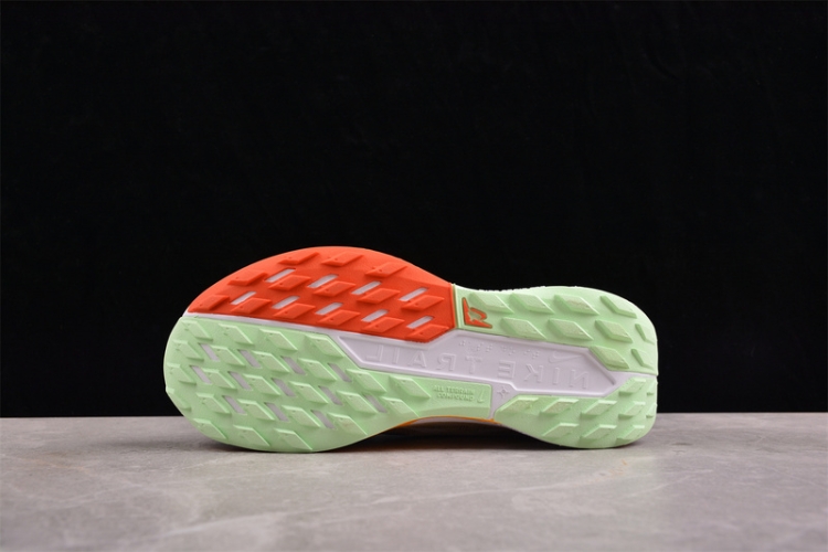  Nike Pegasus Trail 5 DV3865-402