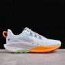  Nike Pegasus Trail 5 DV3865-402