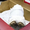  New Balance Fresh Foam X More V3TDS MTMORNWT