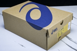 Asics Gel-Sonoma CN 1011B772-022