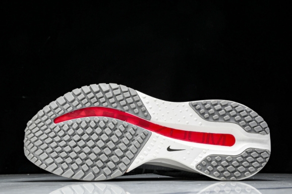 Nike Air Zoom Pegasus Premium HQ2592-007 