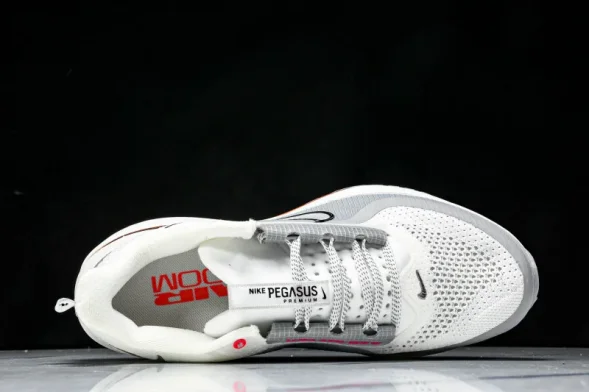 Nike Air Zoom Pegasus Premium HQ2592-007 