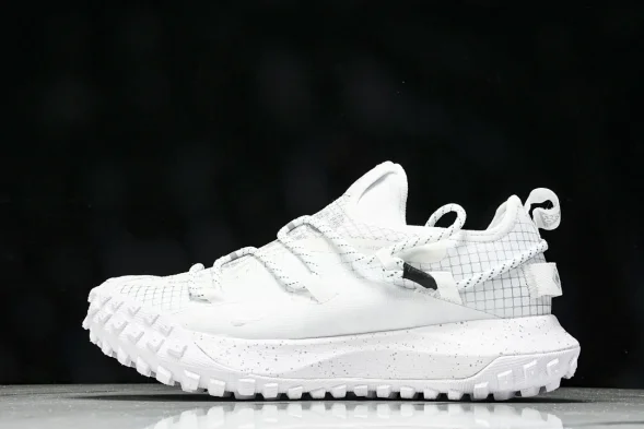 Nike ACG Mountain Fly Low GTX SE DD2861 011 