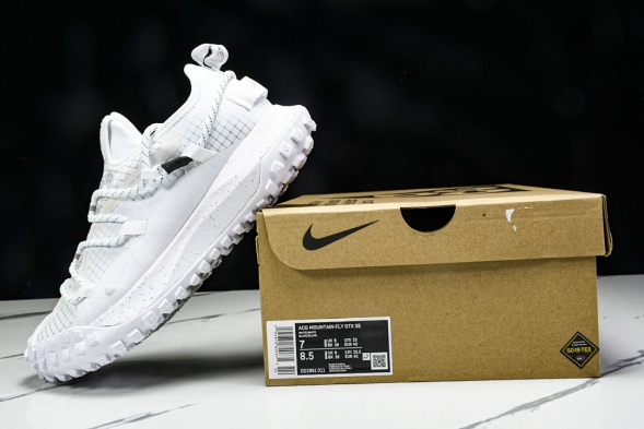 Nike ACG Mountain Fly Low GTX SE DD2861 011 