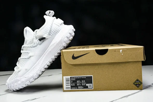 Nike ACG Mountain Fly Low GTX SE DD2861 011 