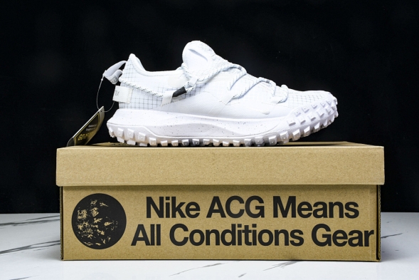 Nike ACG Mountain Fly Low GTX SE DD2861 011 