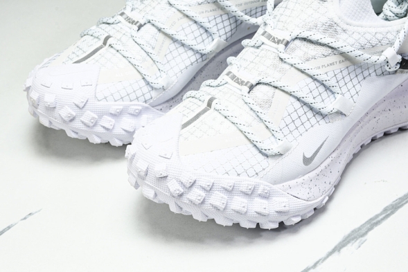 Nike ACG Mountain Fly Low GTX SE DD2861 011 