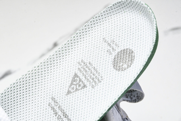 Nike ACG Mountain Fly Low GTX SE DD2861 011 