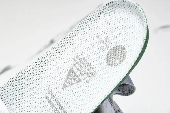 Nike ACG Mountain Fly Low GTX SE DD2861 011 