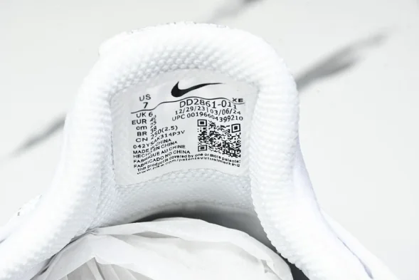 Nike ACG Mountain Fly Low GTX SE DD2861 011 