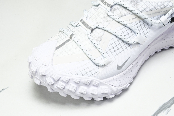 Nike ACG Mountain Fly Low GTX SE DD2861 011 