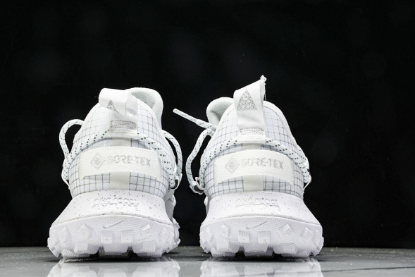 Nike ACG Mountain Fly Low GTX SE DD2861 011 