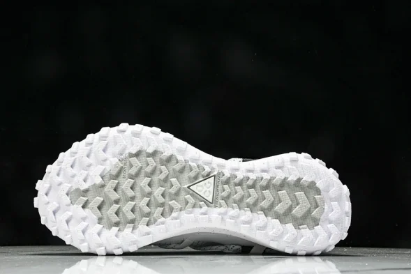 Nike ACG Mountain Fly Low GTX SE DD2861 011 