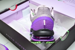 Nike Air Zoom Pegasus Premium FK II0602 500