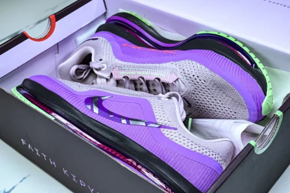 Nike Air Zoom Pegasus Premium FK II0602 500 