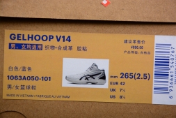 Asics Gelhoop V14 063A050-101