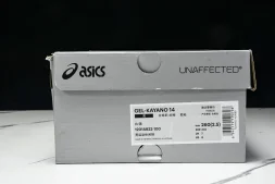 Asics Gel-Kayano 14 1201A922-100