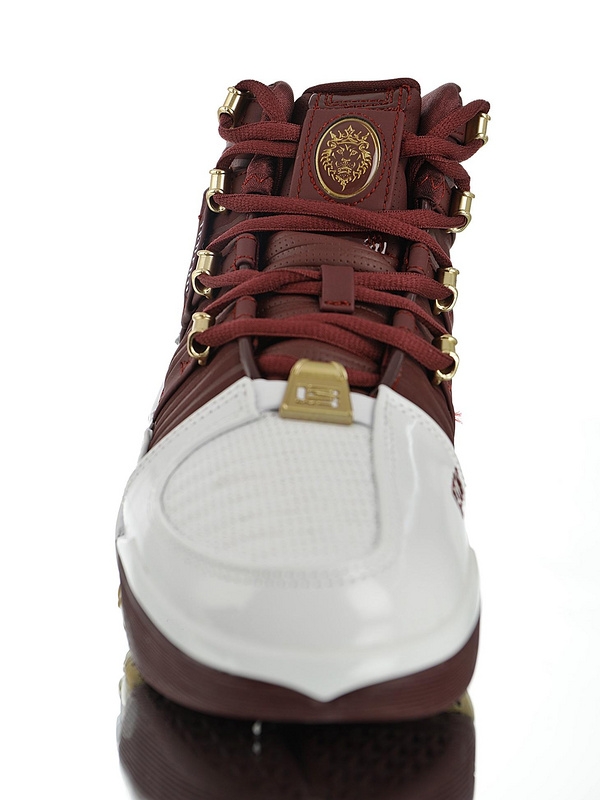 Nike LeBron 3 QS CTK