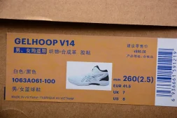 Asics Gelhoop V14 1063A061-100