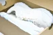 Asics Gel-Sonoma CN 1012B656-101 
