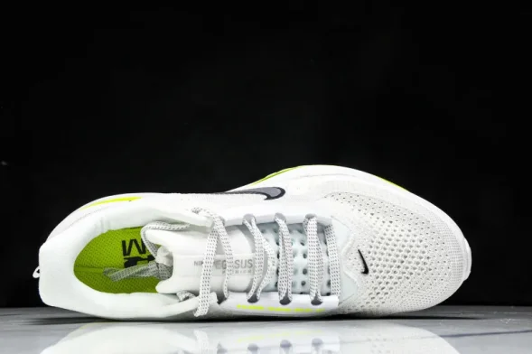 Nike Air Zoom Pegasus Premium HQ2592 100 