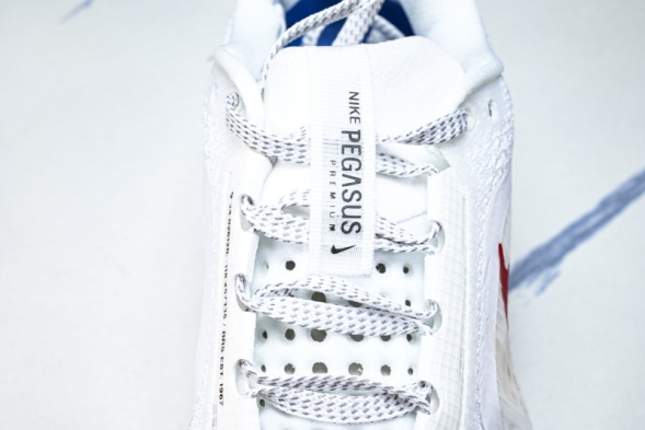 Nike Air Zoom Pegasus Premium IH7347-111 