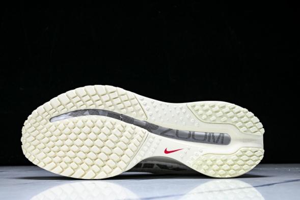 Nike Air Zoom Pegasus Premium IH7347-111 