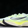 Nike Zoom Fly 5 DM8968 300