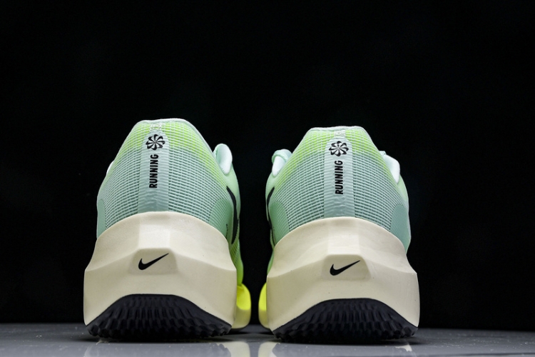 Nike Zoom Fly 5 DM8968 300