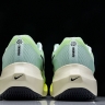 Nike Zoom Fly 5 DM8968 300