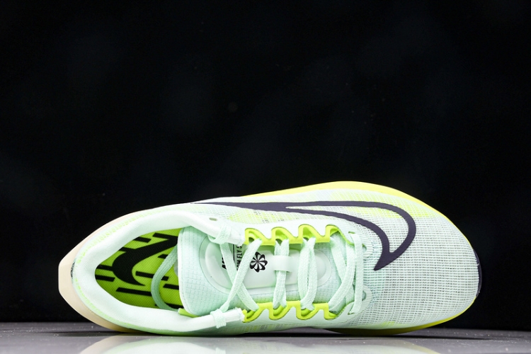 Nike Zoom Fly 5 DM8968 300