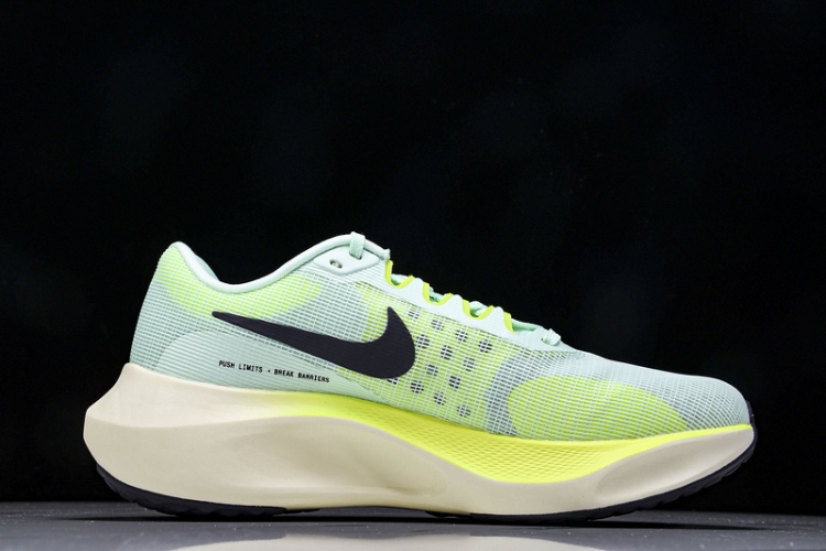 Nike Zoom Fly 5 DM8968 300