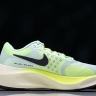 Nike Zoom Fly 5 DM8968 300
