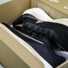 Nike Zoom Fly 5 DM8968 002