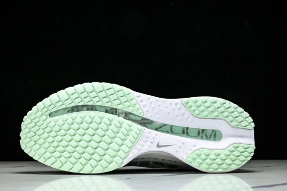 Nike Air Zoom Pegasus Premium HQ2593-103 
