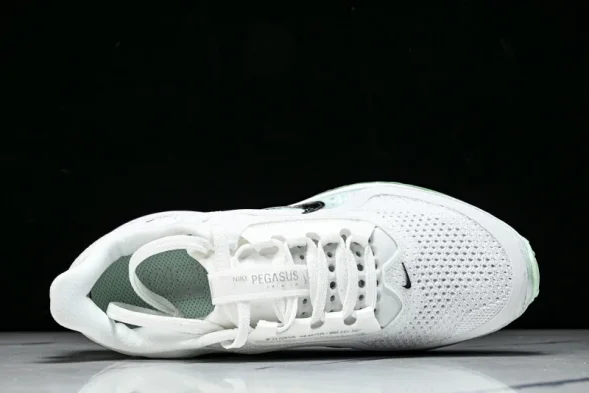 Nike Air Zoom Pegasus Premium HQ2593-103 