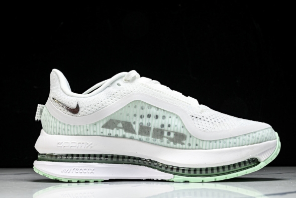 Nike Air Zoom Pegasus Premium HQ2593-103 