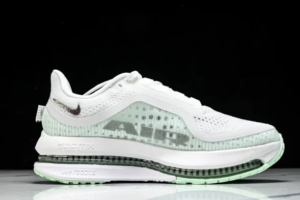 Nike Air Zoom Pegasus Premium HQ2593-103 