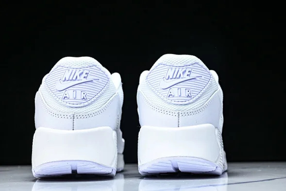 Nike Air Max 90 CN8490 100 