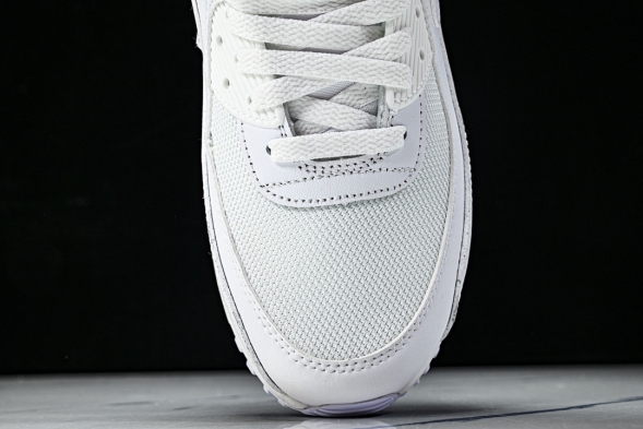 Nike Air Max 90 CN8490 100 