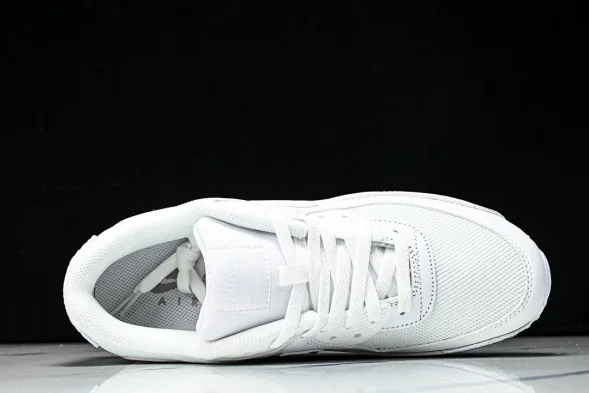 Nike Air Max 90 CN8490 100 