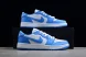 Nike Air Jordan 1 low Golf Shadow DD9315-100 