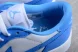 Nike Air Jordan 1 low Golf Shadow DD9315-100 