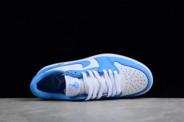 Nike Air Jordan 1 low Golf Shadow DD9315-100 