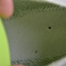  Nike Air Max Scorpion Fk FQ2694-001
